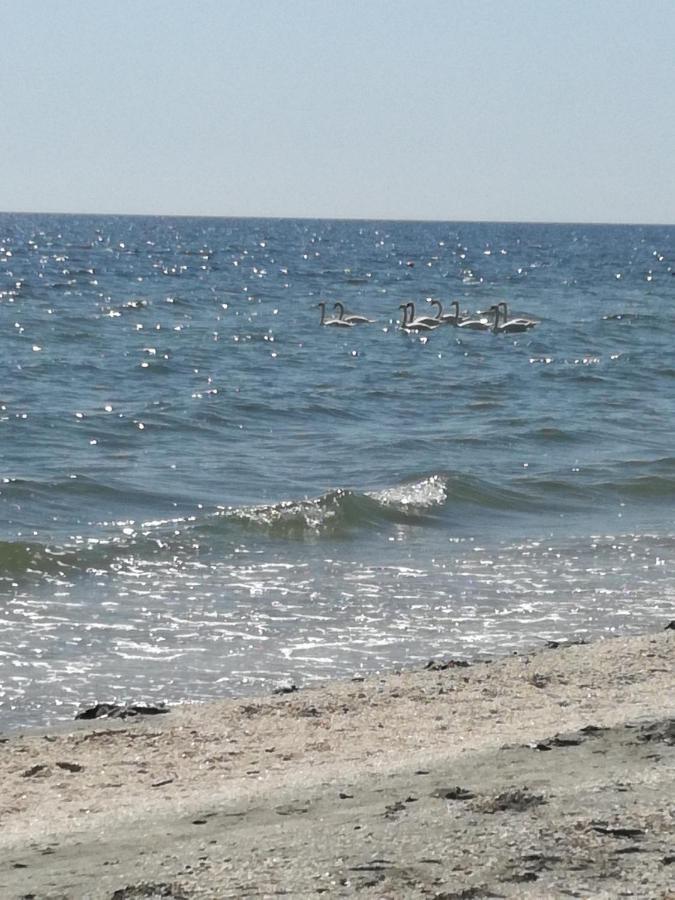 Mamaia Summerland Mrs Zewnętrze zdjęcie